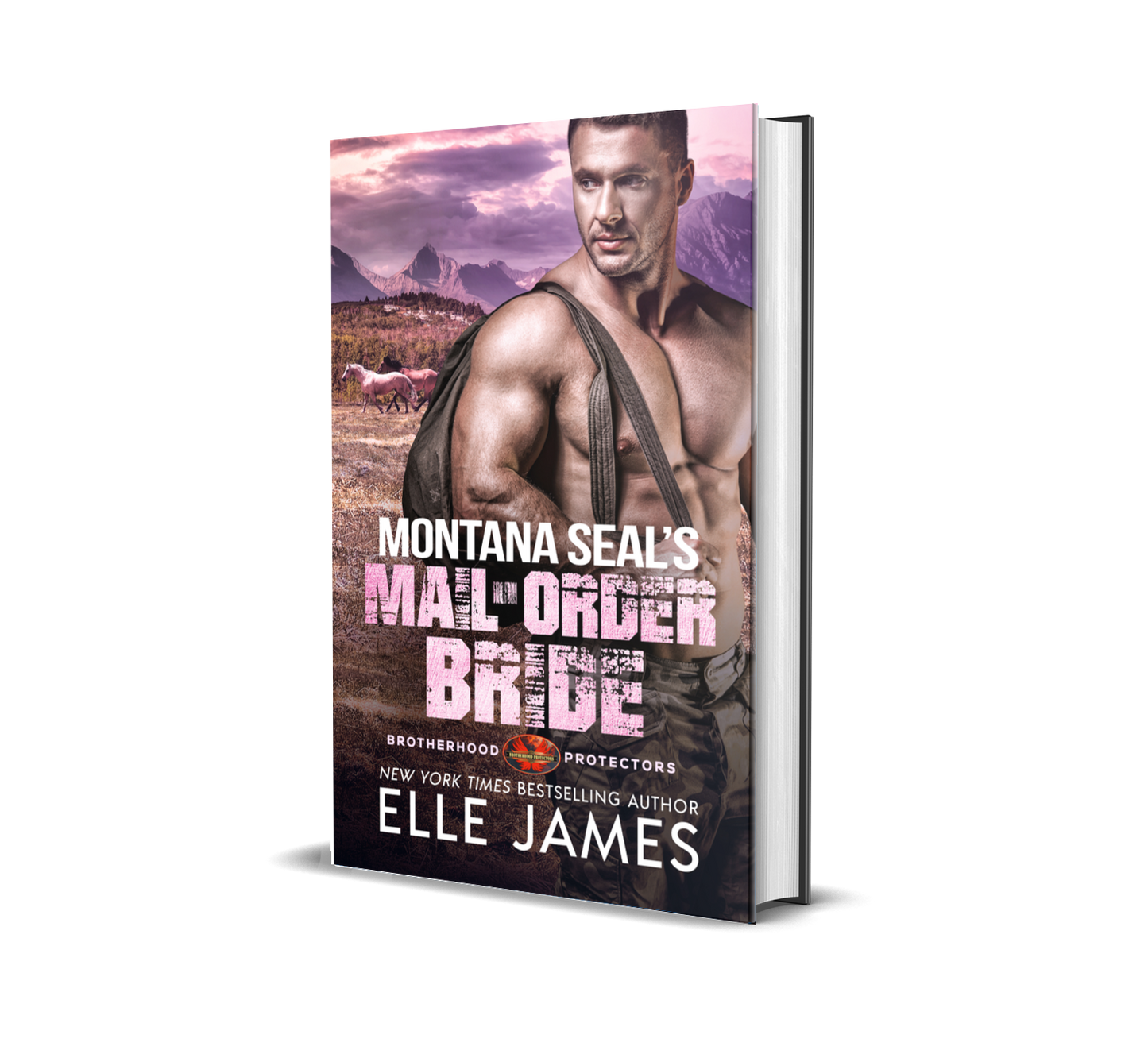 Montana SEAL’s Mail-Order Bride - Hardback