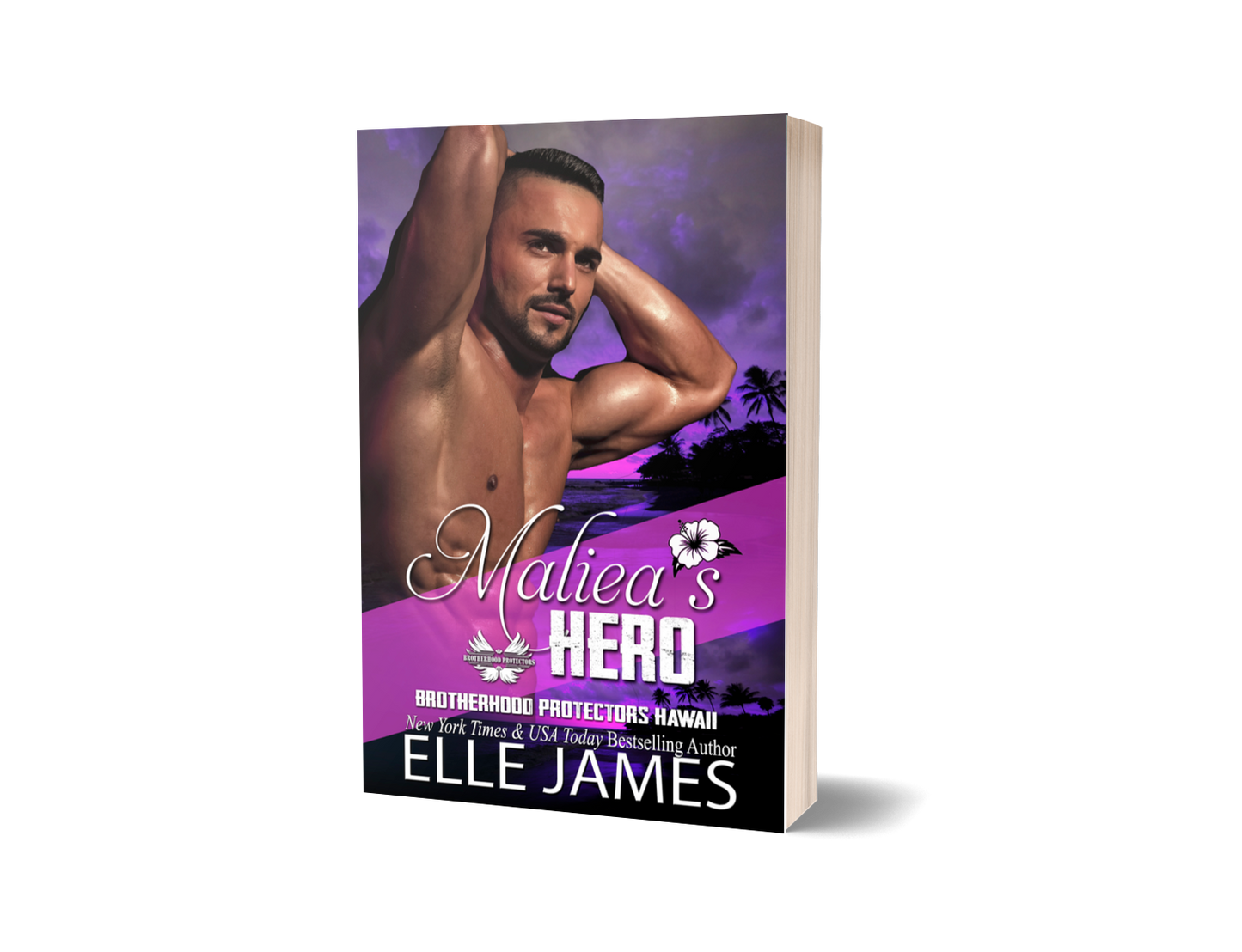 Maliea's Hero - Paperback