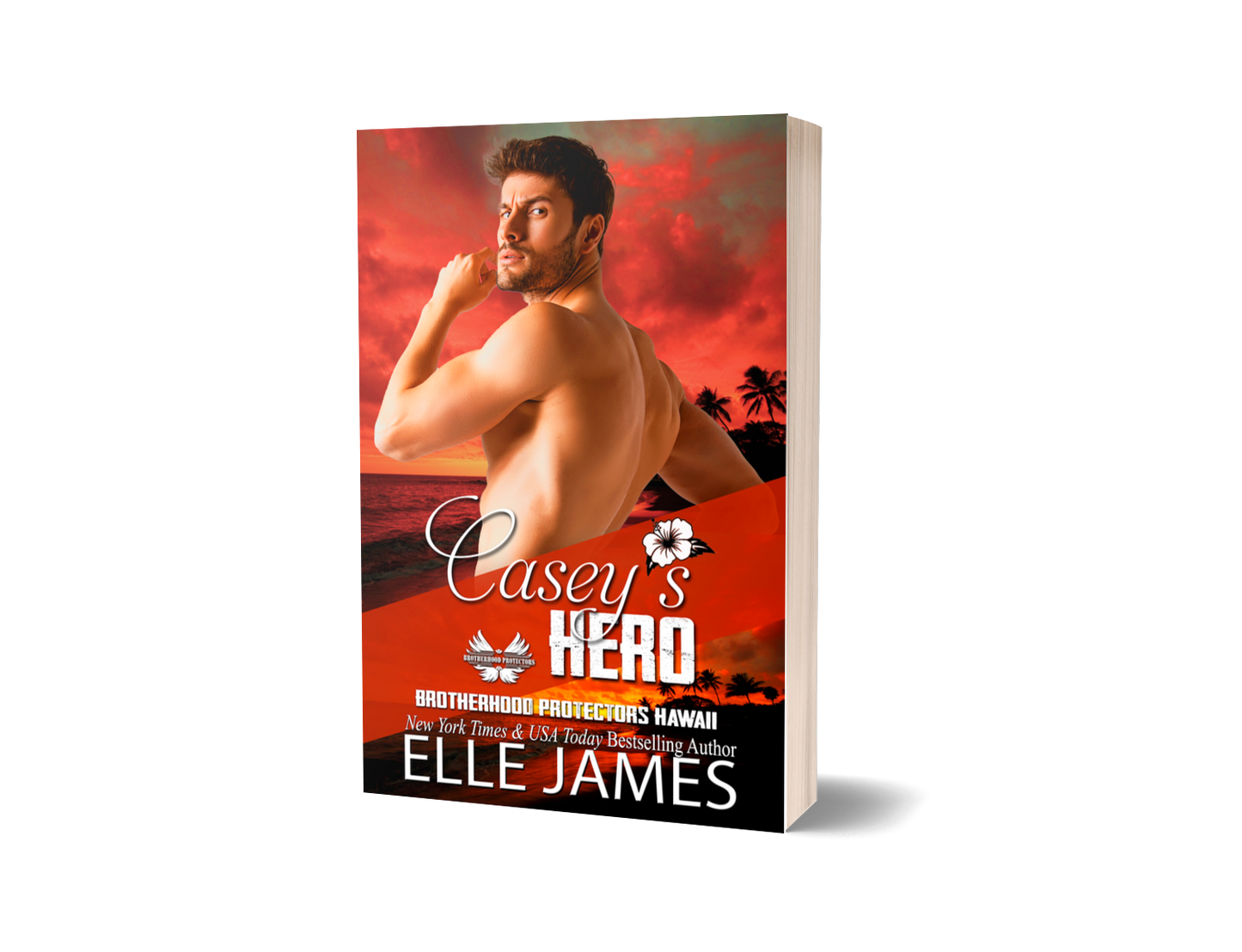 Casey's Hero - Paperback