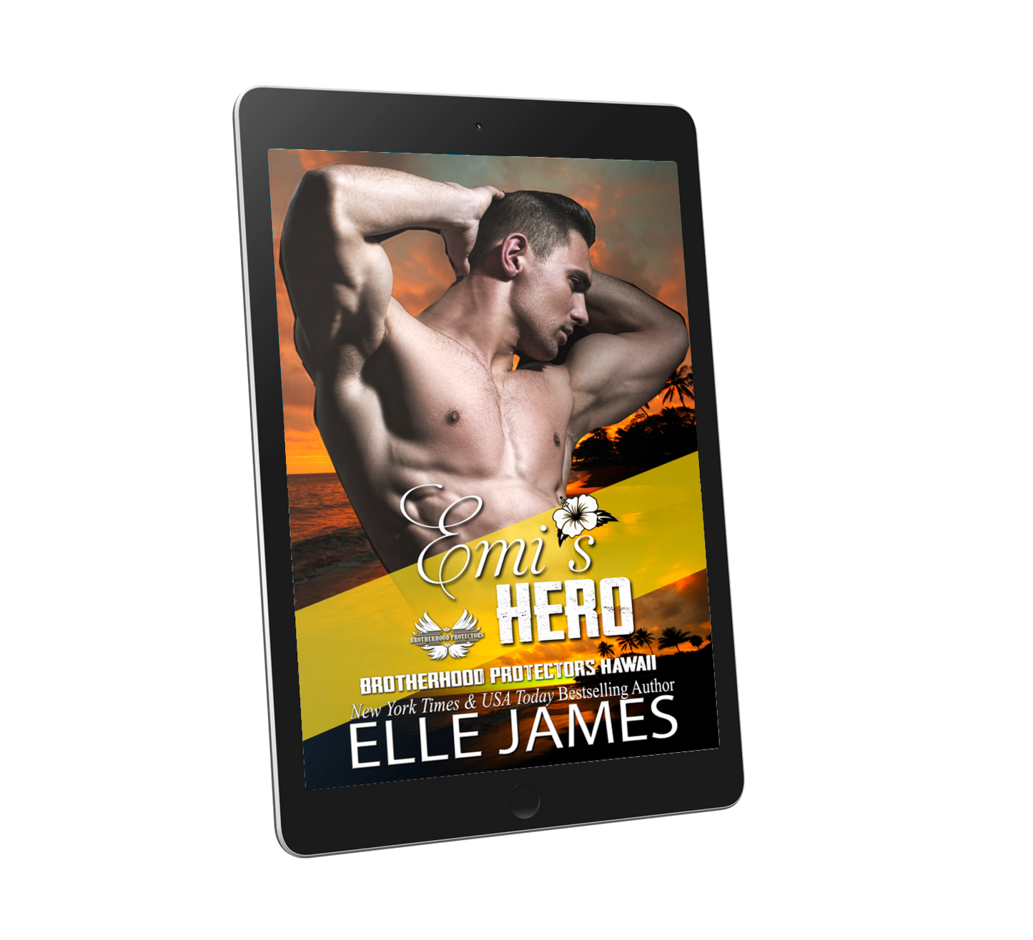 Emi's Hero - ebook