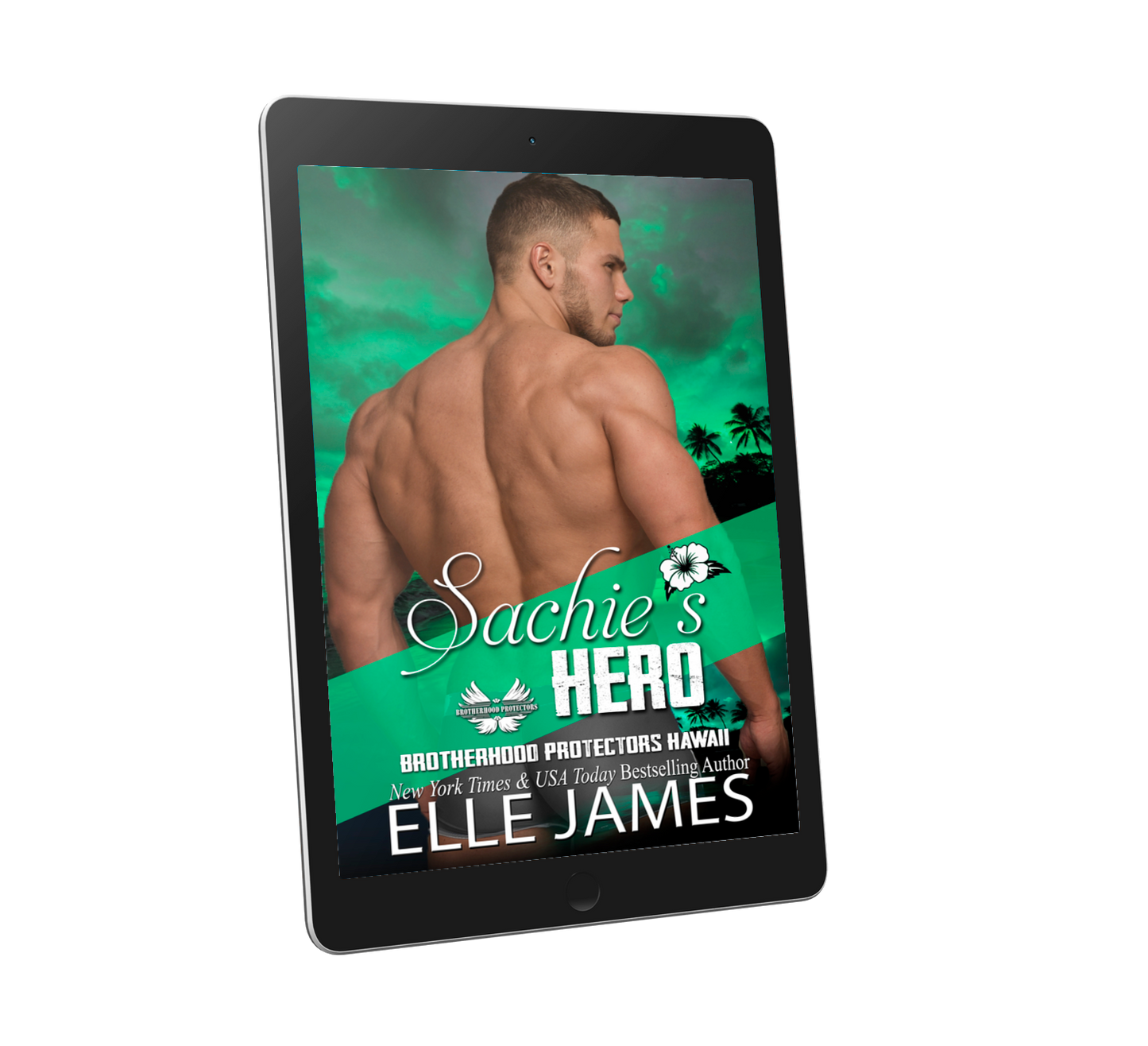 Sachie's Hero - Ebook
