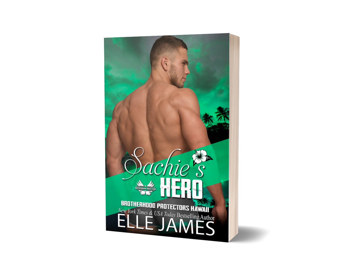 Sachie's Hero - Paperback