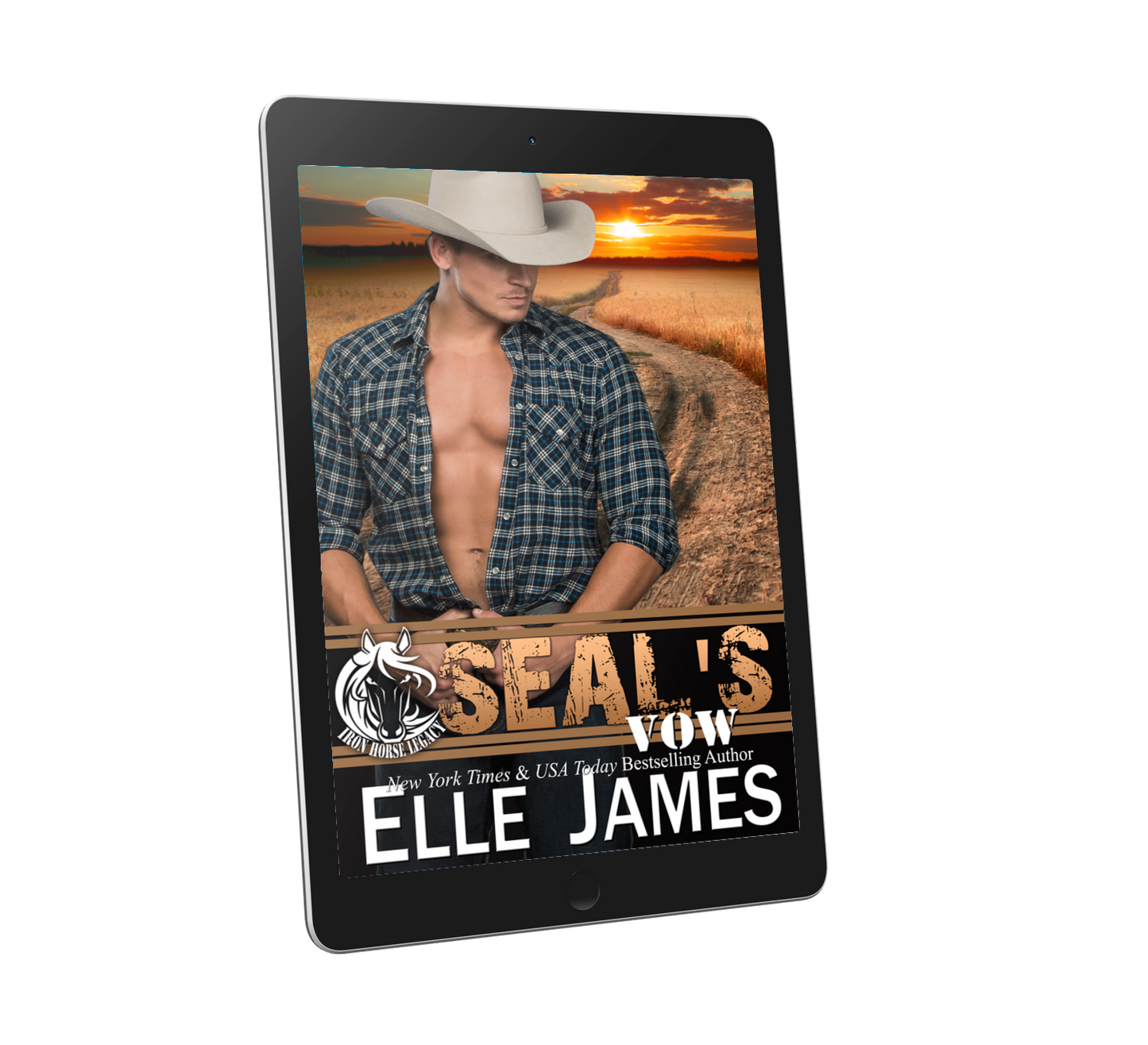 SEAL's Vow - Ebook