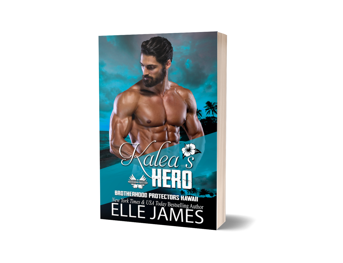 Kalea's Hero - Paperback