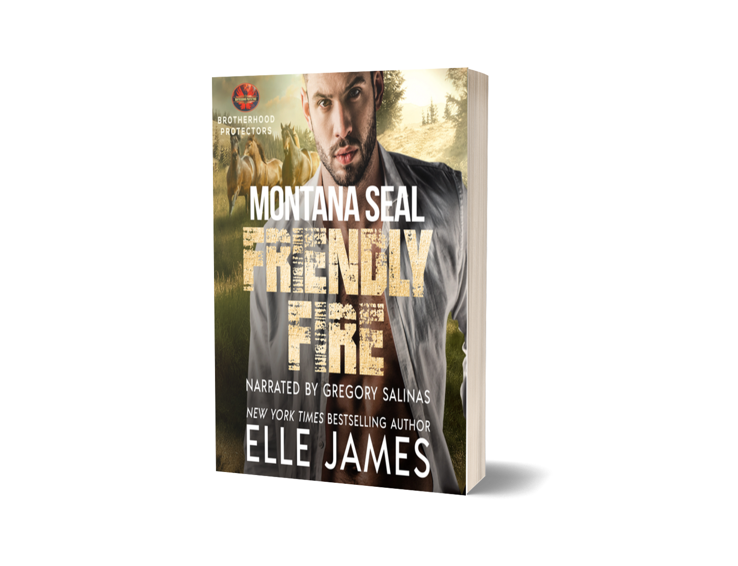 Montana SEAL Friendly Fire - Paperback