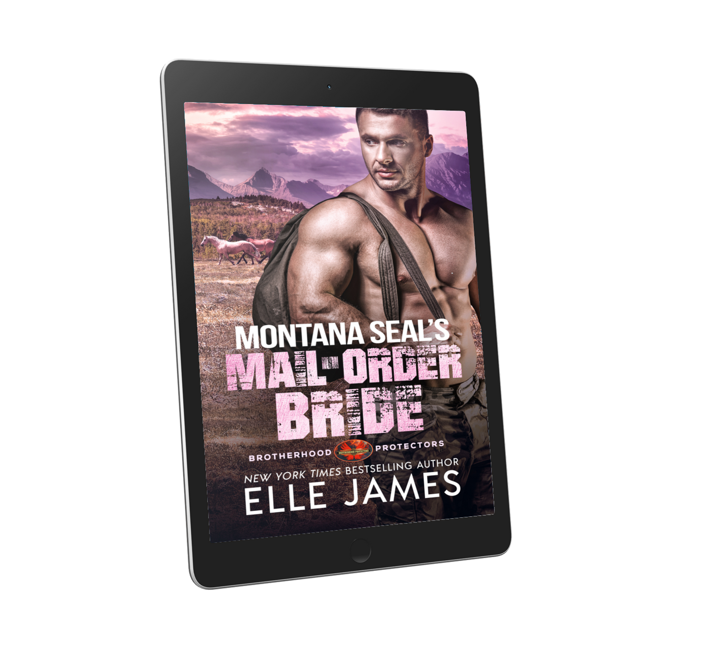 Montana SEAL's Mail-Order Bride - Ebook