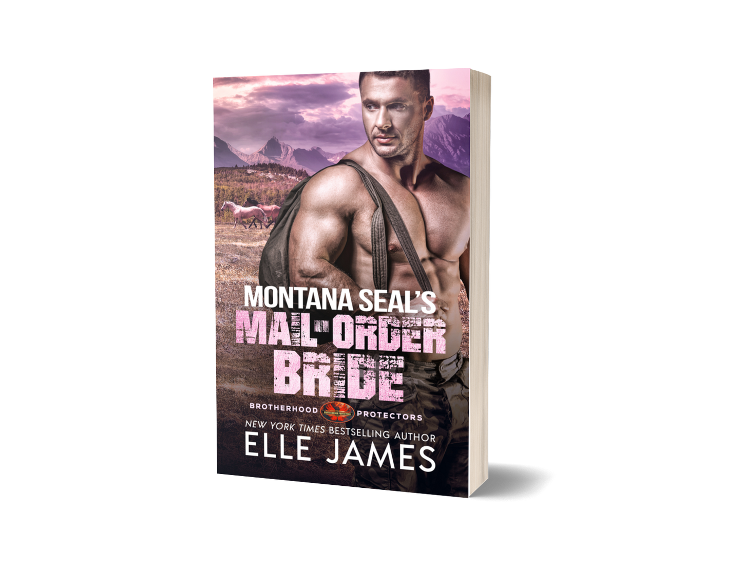 Montana SEAL’s Mail-Order Bride - Paperback