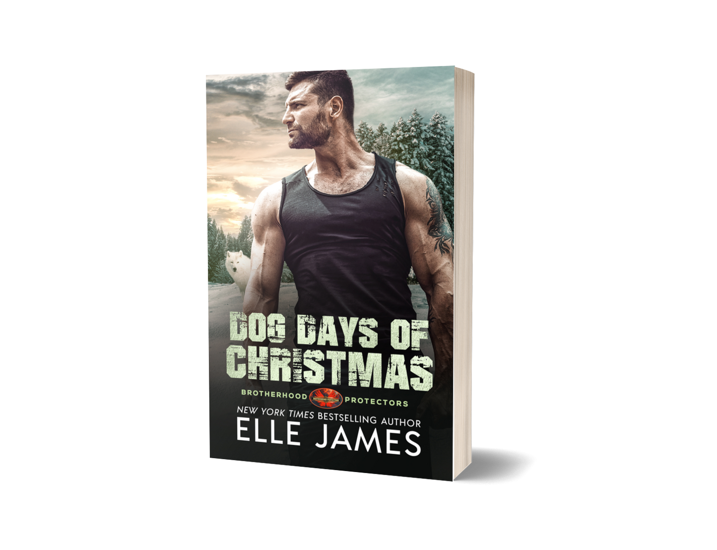 Dog Days of Christmas - Paperback