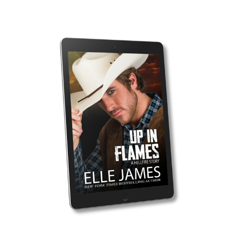 Up in Flames - Ebook