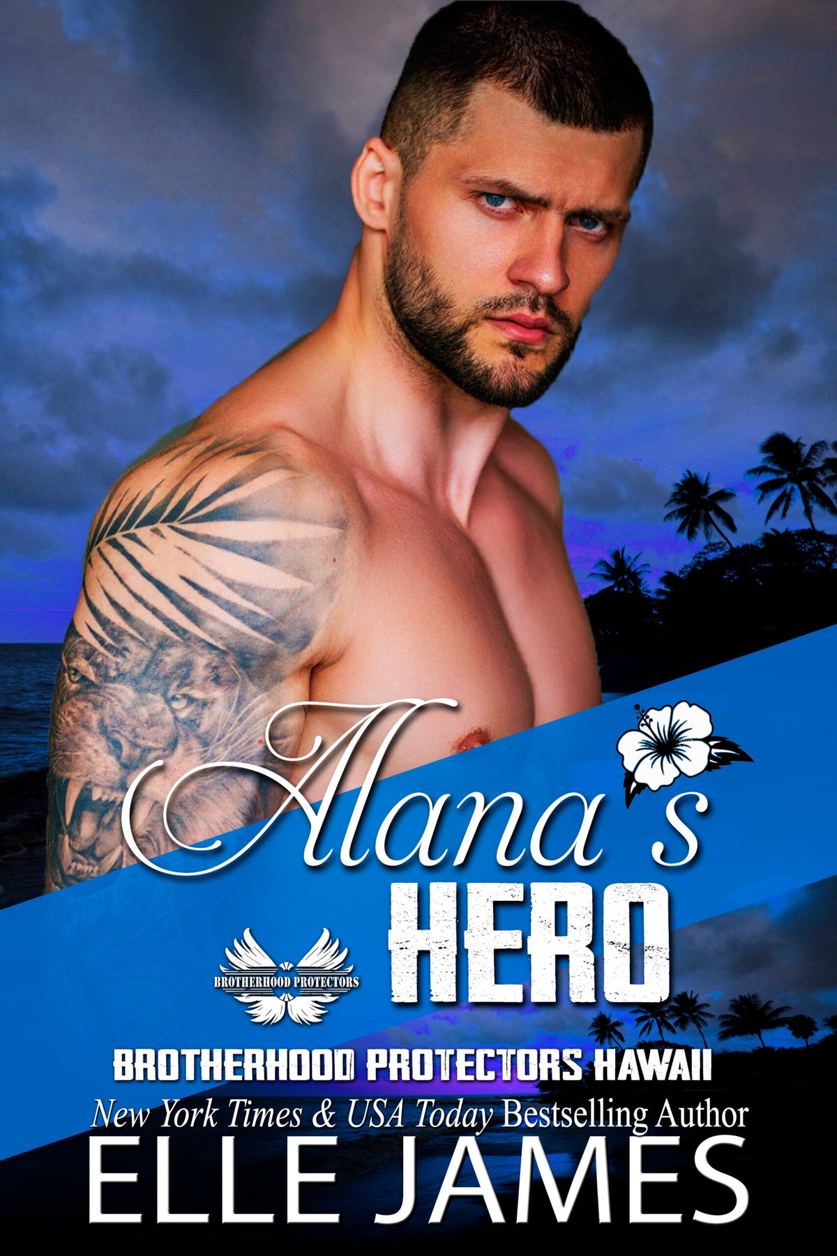 Alana's Hero - Hardback
