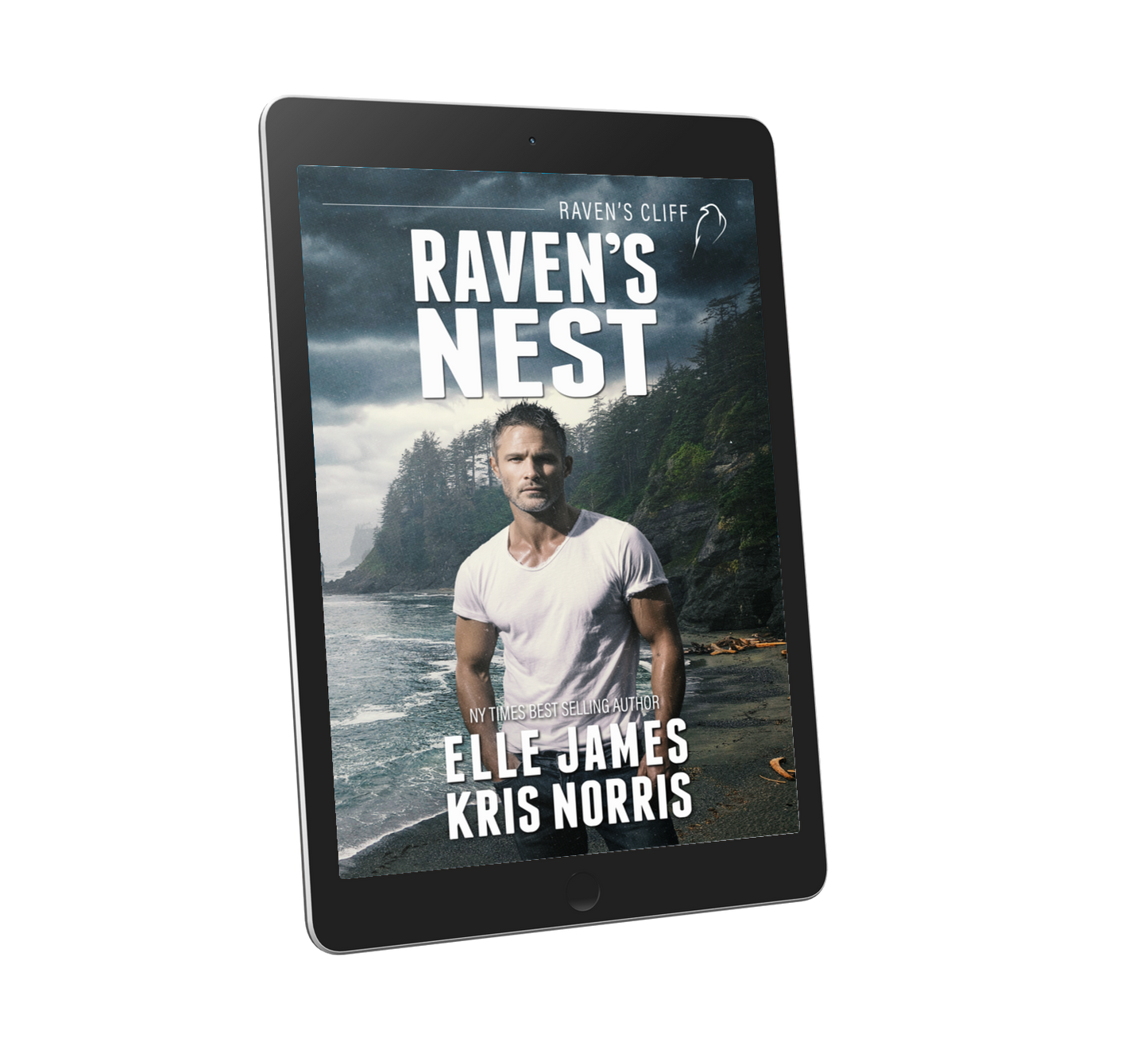 Raven's Nest - Ebook